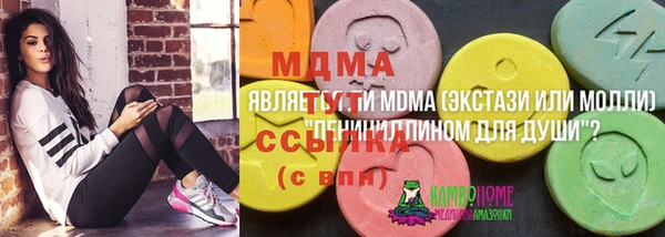 apvp Алзамай