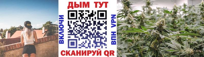 Купить где  Сердобск  Каннабис план 